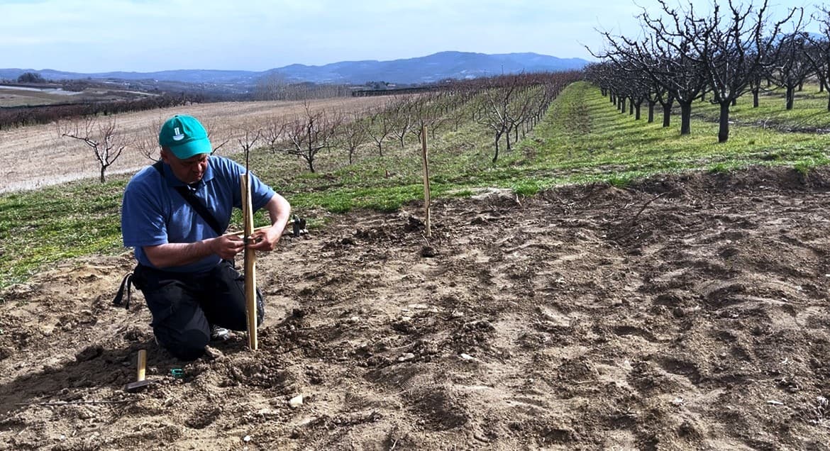 Obuka za sadnju i rezidbu voća i vinove loze