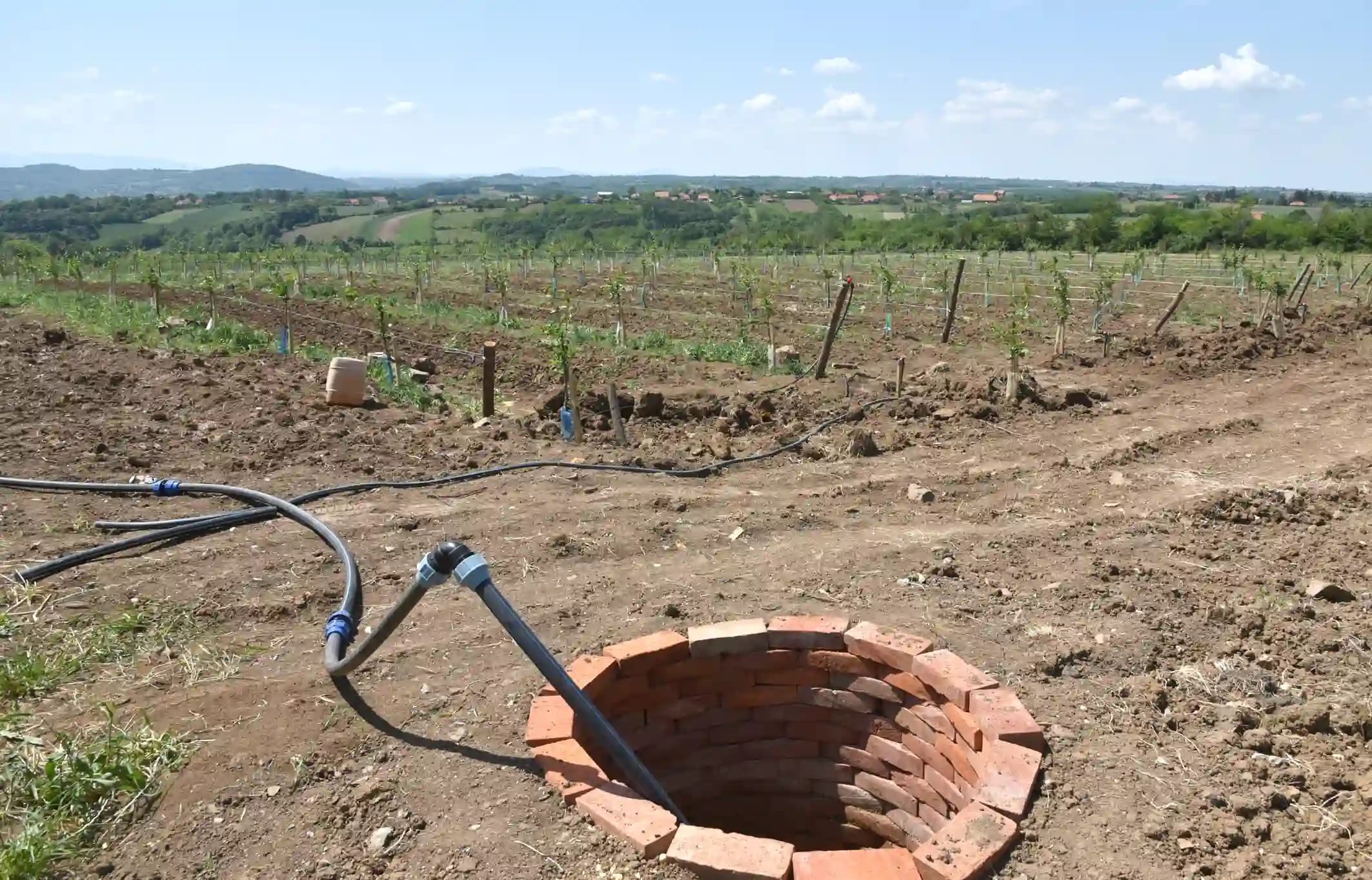 Subvencija države za bunare za navodnjavanje  30 milona dinara