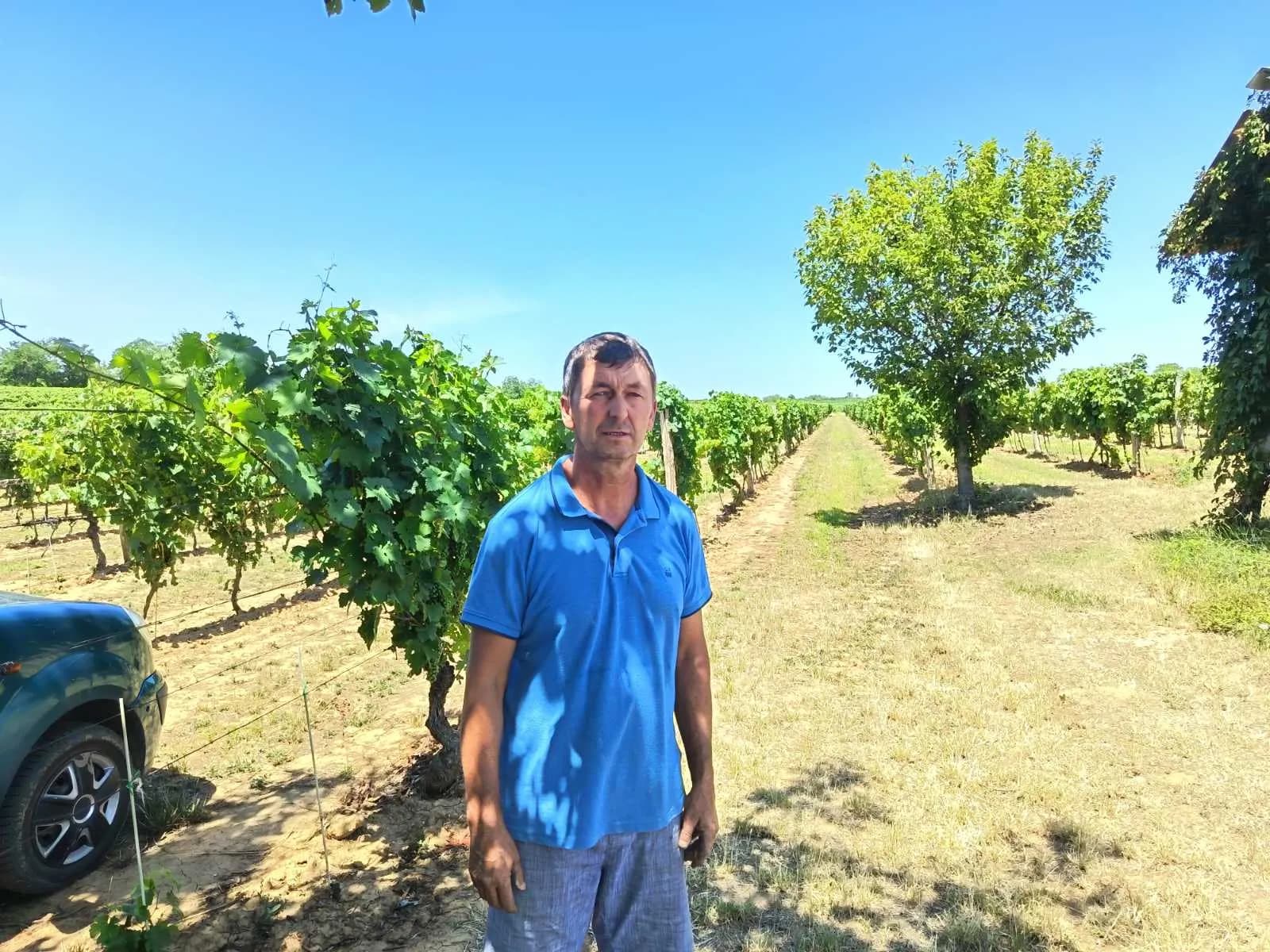 Vino iz Rivice koje čuva tradiciju i poštuje prirodu