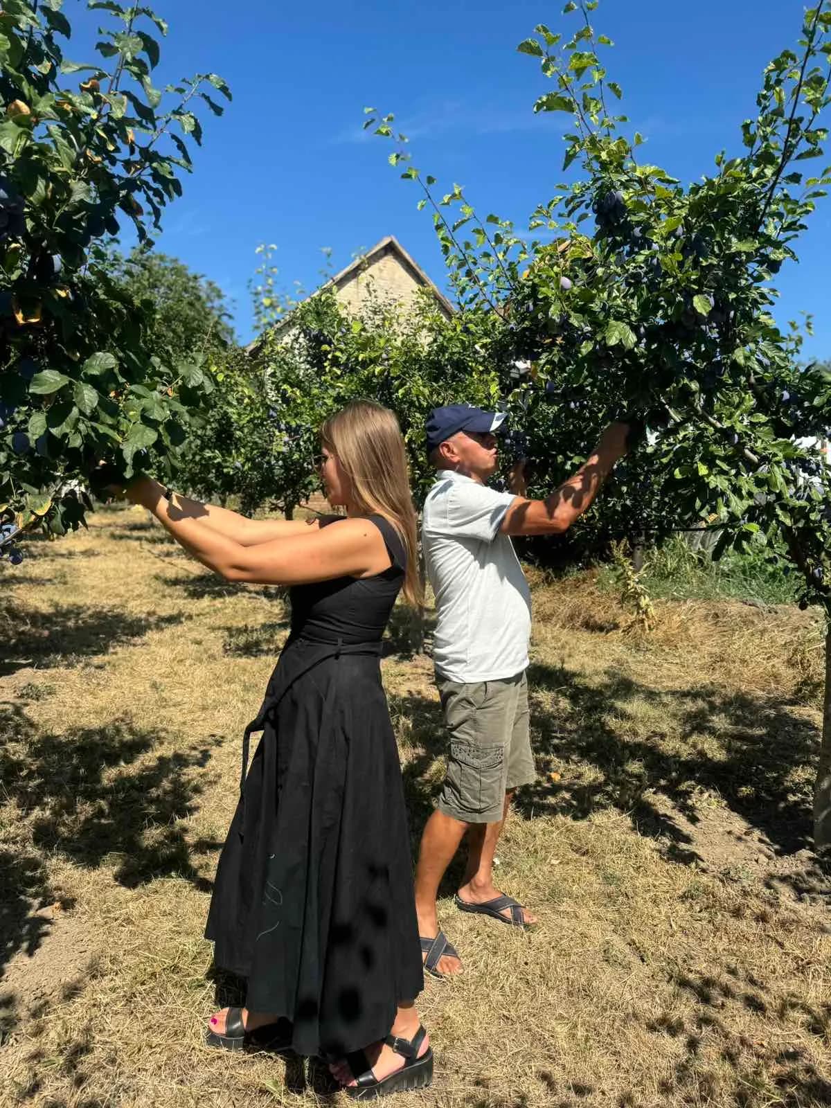 Od šljive do rakije: Nadin put ka porodičnom brendu