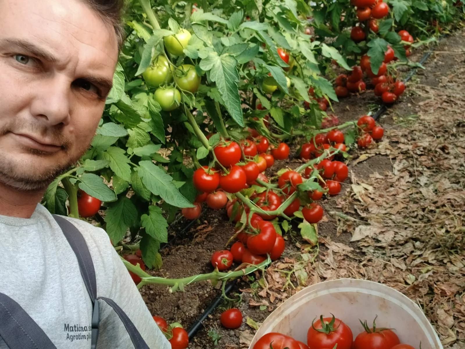 Od porodične bašte do 11 plastenika