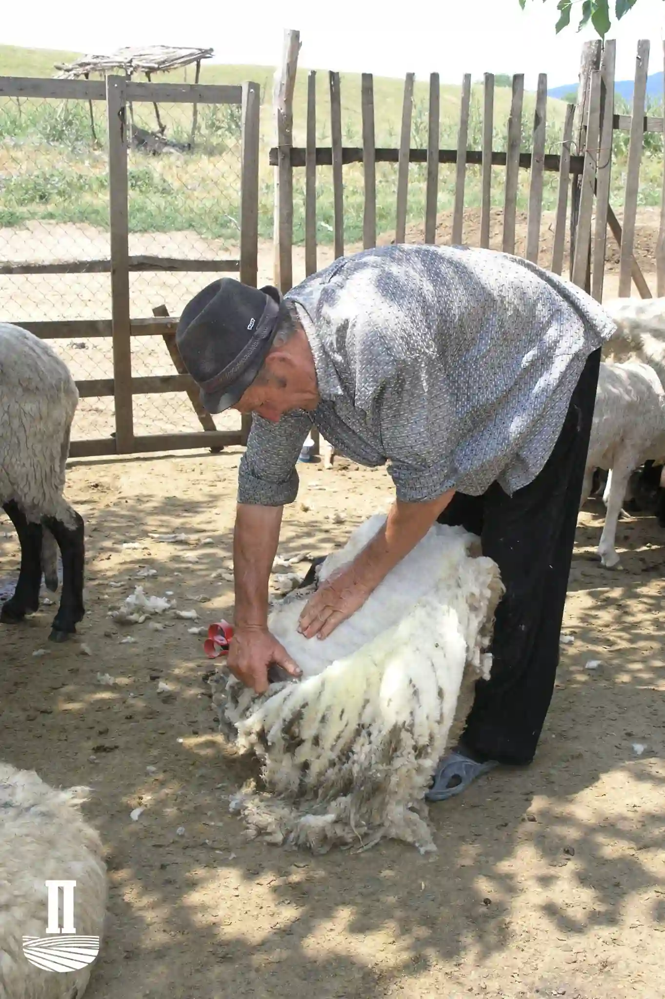 Vunu opet niko neće!