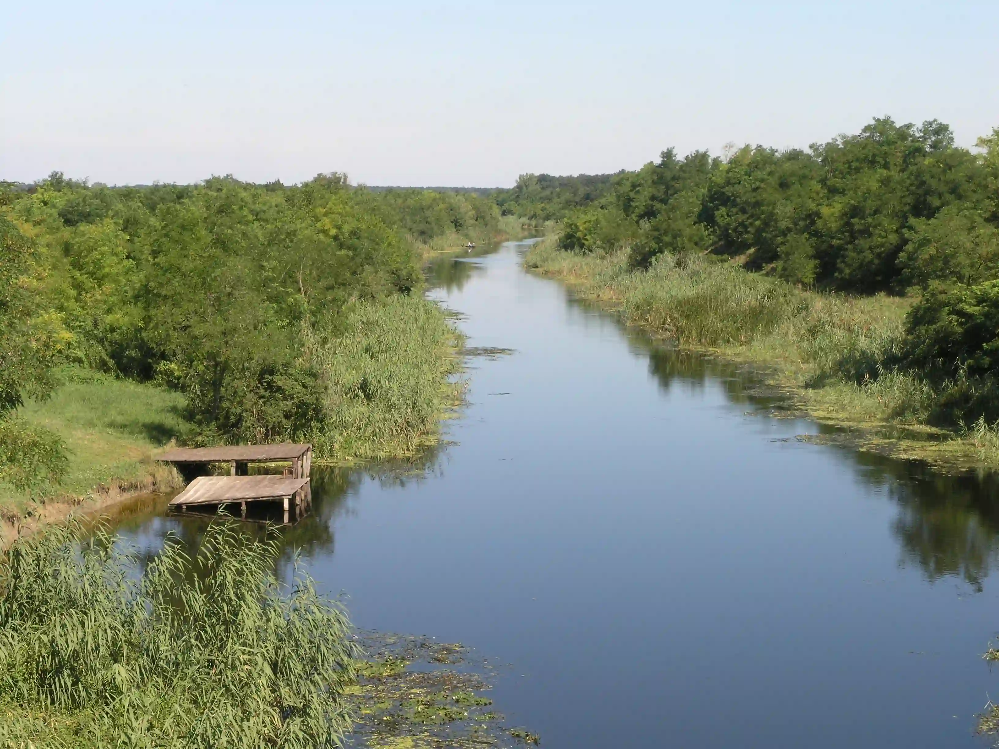 Pošumljavanje Velikog bačkog kanala
