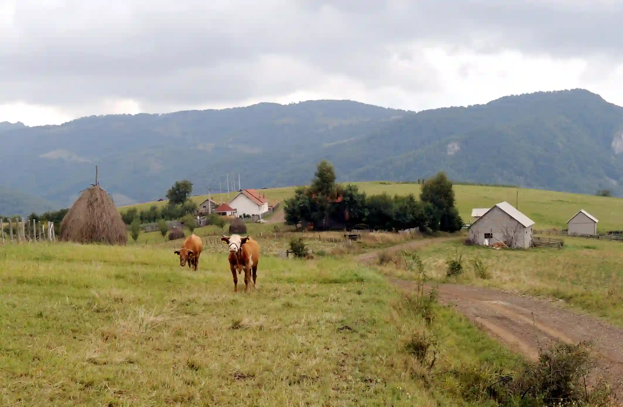 Kreću prijave za bespovratna sredstva za kupovinu seoskih kuća