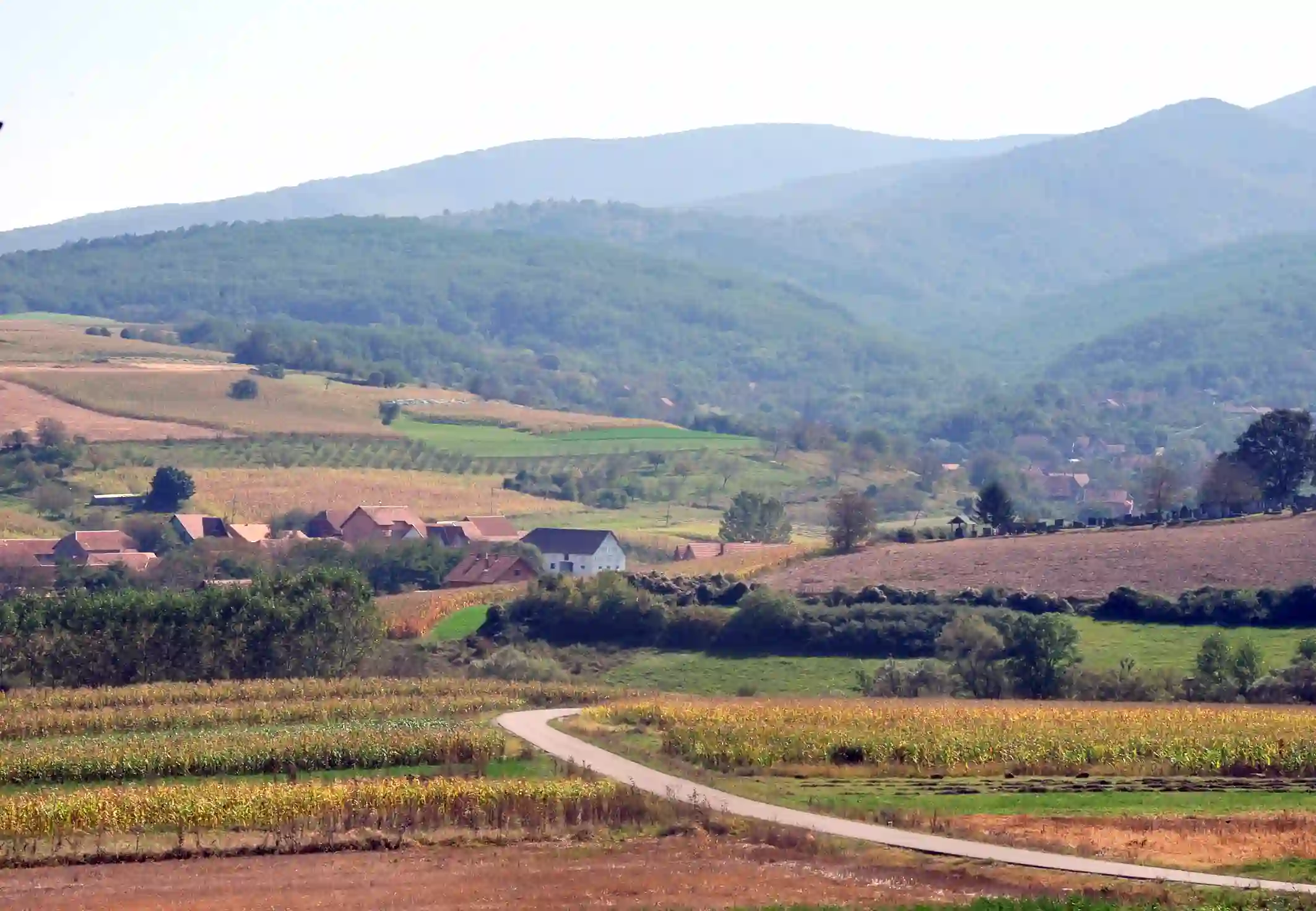 Krkobabić: Sela će živeti!
