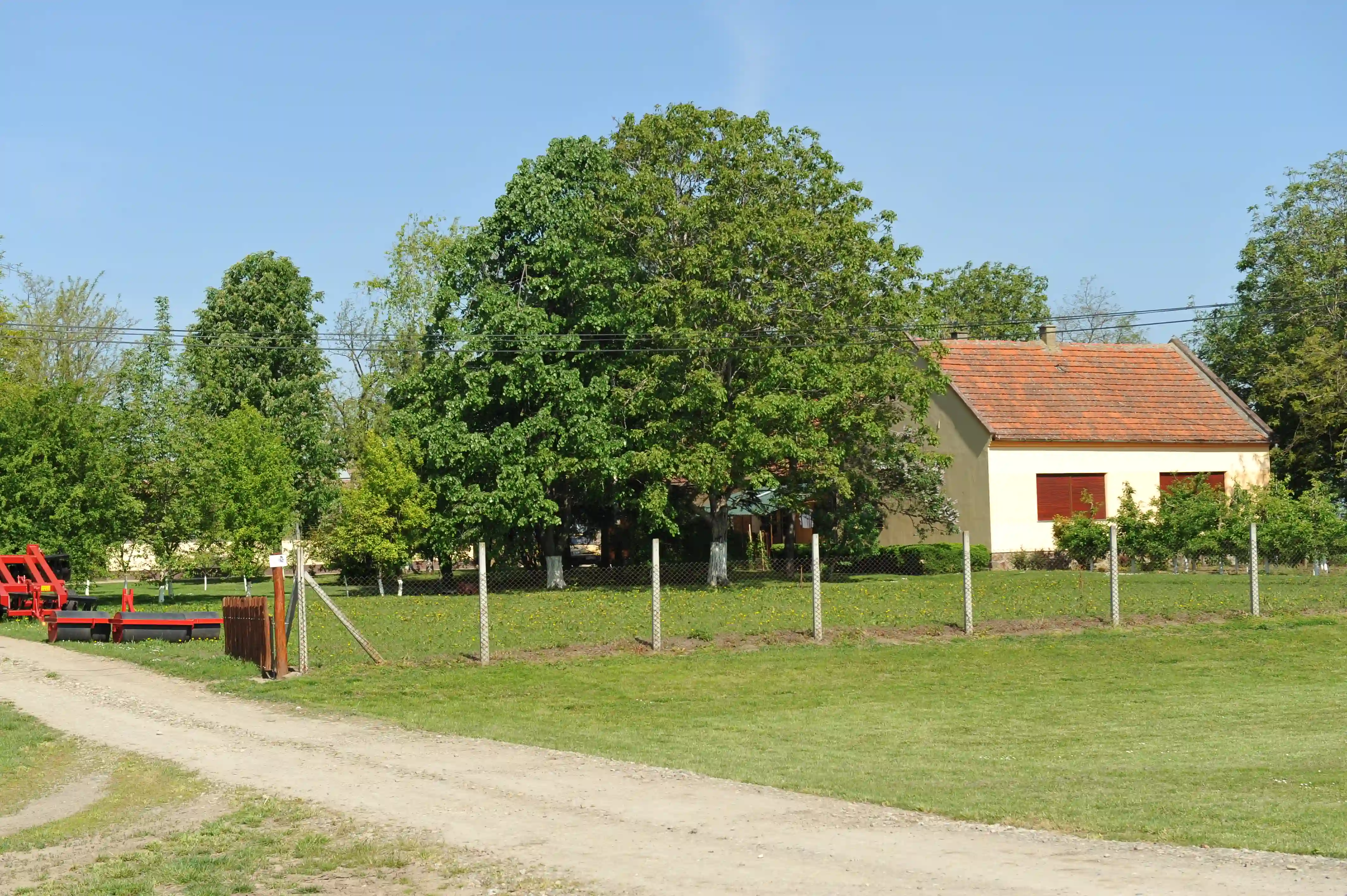 Stižu mlade porodice u bačkopalanačka sela