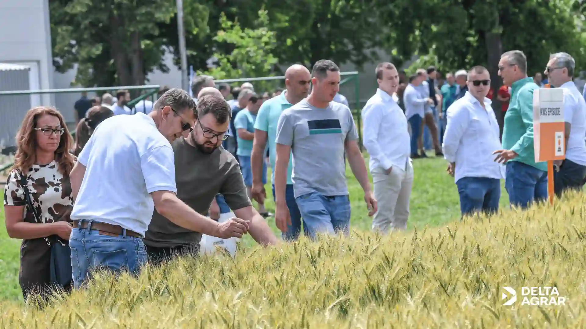 Dan polja u Somboru: stabilne sorte i vrhunska dorada u fokusu Delta Agrara