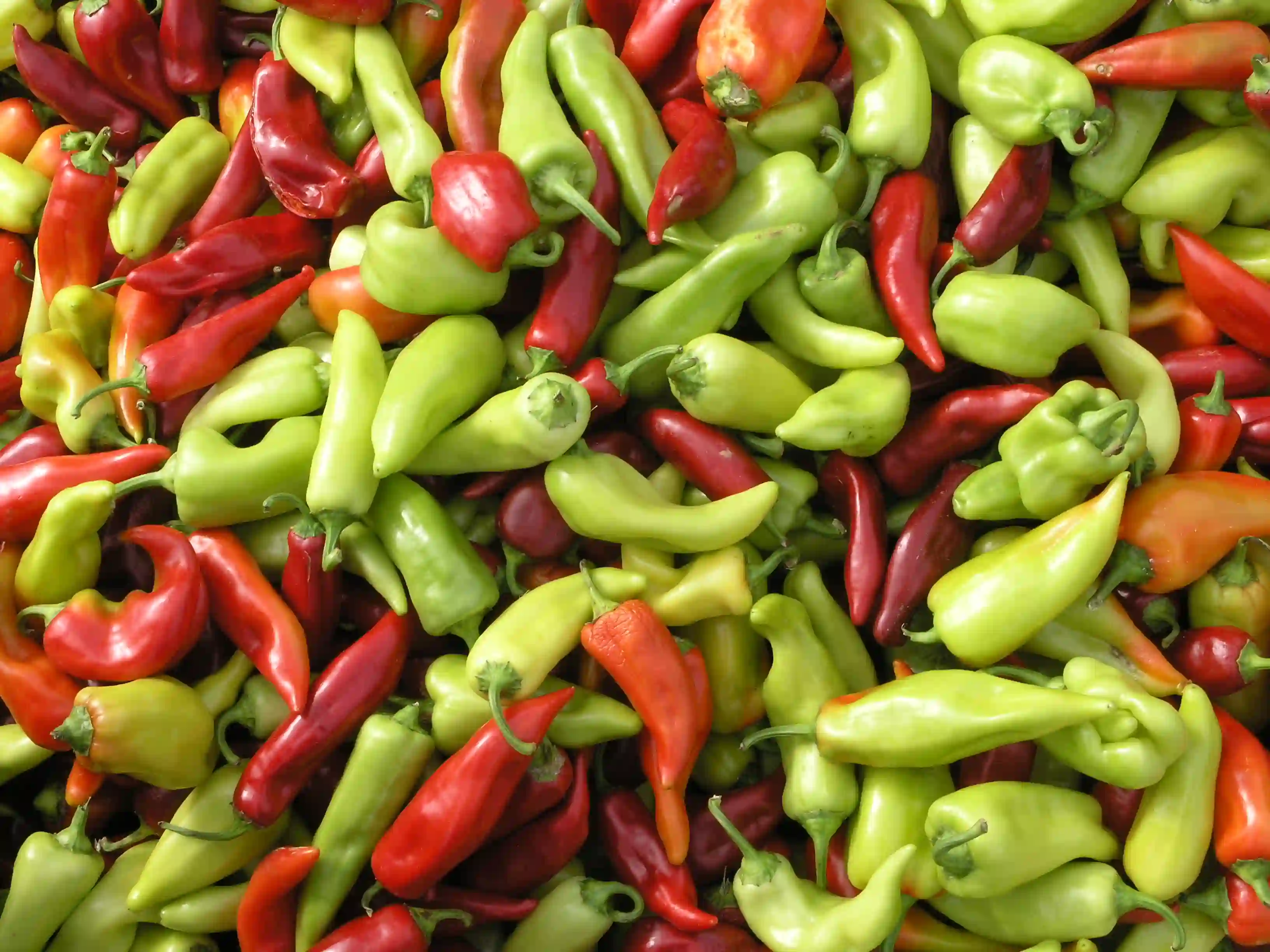Paprika za zimnicu pod znakom pitanja