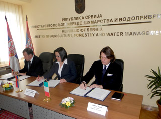 PROTOKOL SA ITALIJANSKIM NACIONALNIM SAVETOM ZA ISTRAŽIVANJE ZA BRŽI AGROINDUSTRIJSKI RAZVOJ