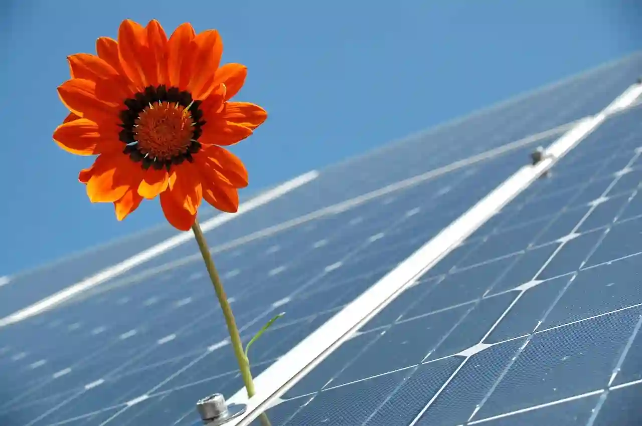 Solarna stabla – rešenje za obnovljivu energiju bez seče šuma