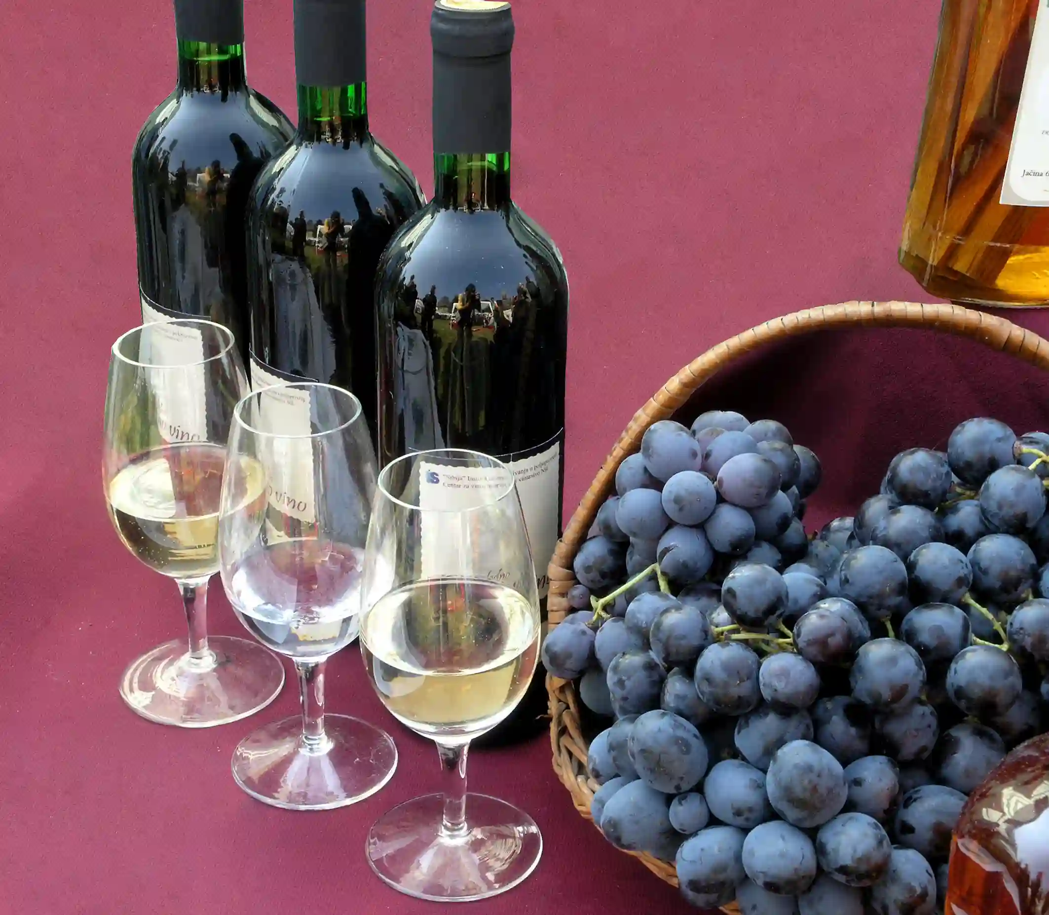 U Kragujevcu 5. i 6. aprila salon vina