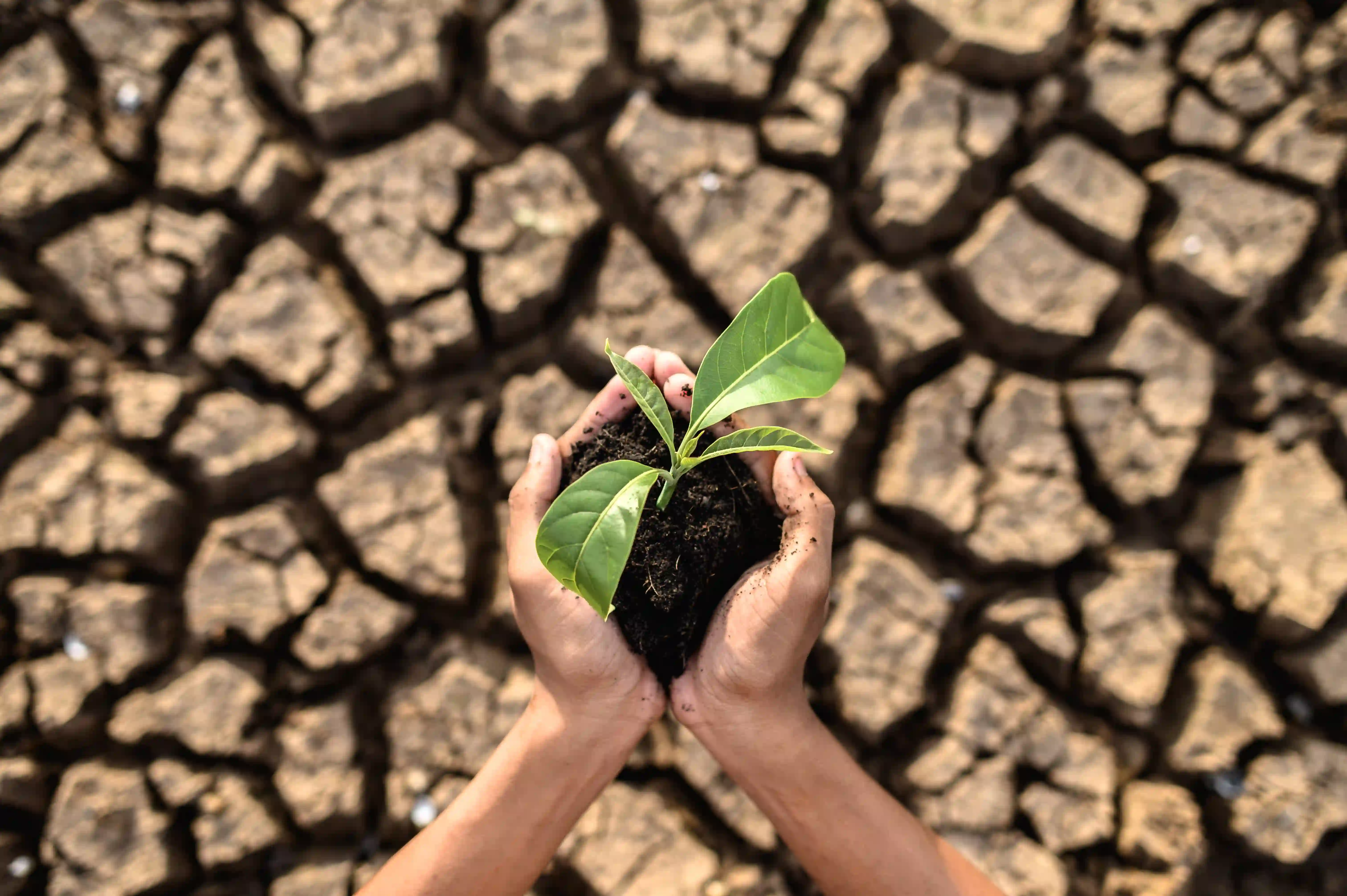 Suše i klimatski izazovi: Kako nove tehnologije pomažu evropskim farmama