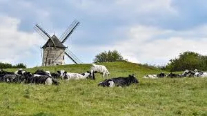 Mađarska zatvara granice
