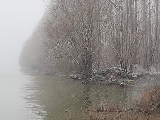 Na Tamišu uvedena redovna odbrana od poplava