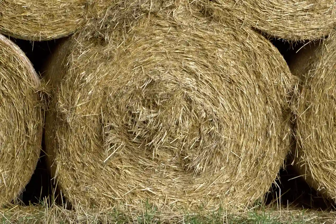 Cene rastu, poljoprivrednici brinu