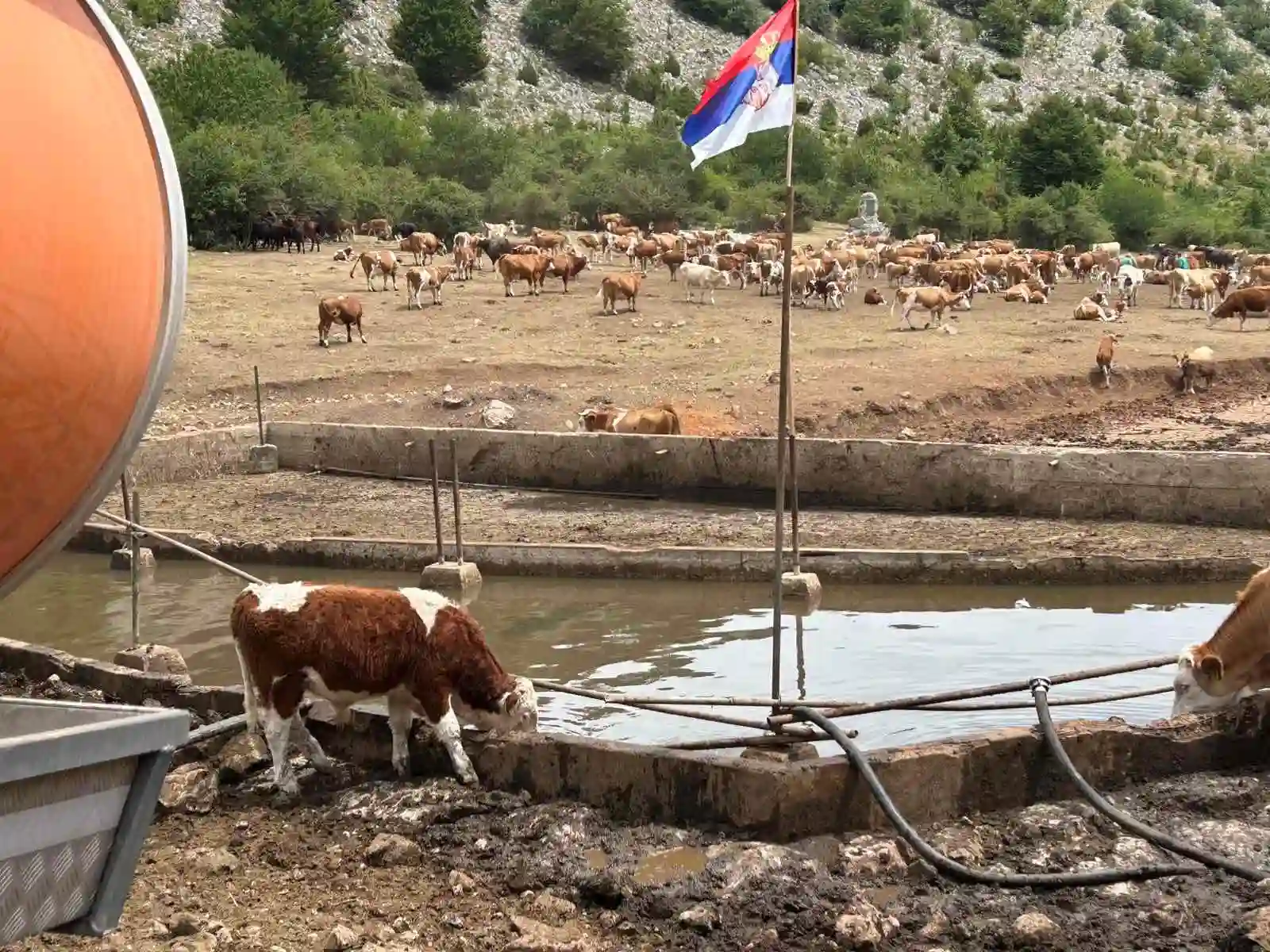 Na Suvoj planini obezbeđene cisterne za vodu, spas za životinje