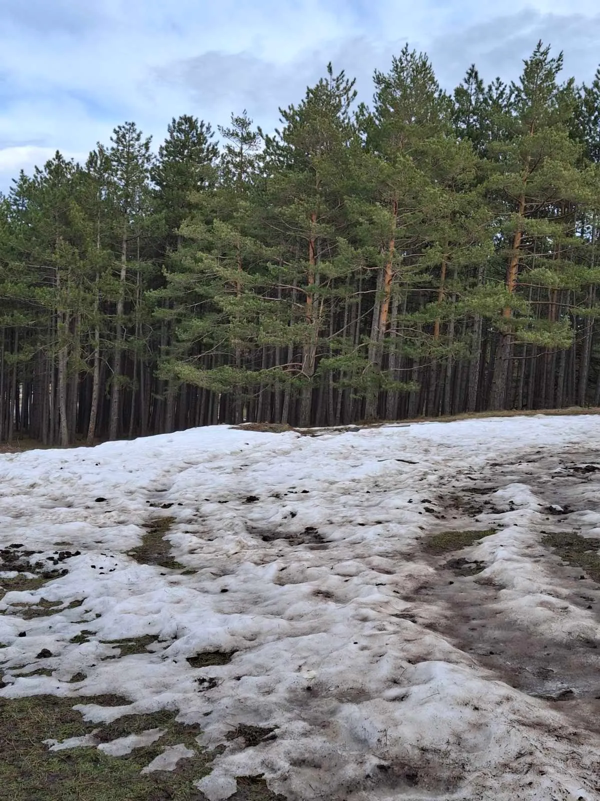 Neuobičajeno topao januar