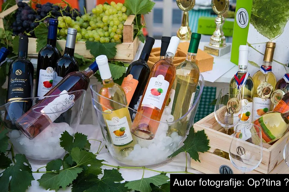 Vinarske noći u Šidu